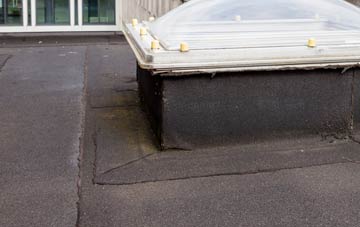 disadvantages of Ronaldsvoe flat roofs