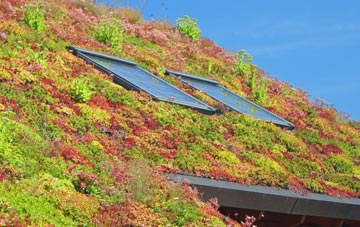 Ronaldsvoe living roof systems